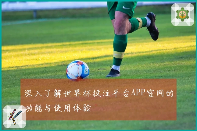 深入了解世界杯投注平台APP官网的功能与使用体验