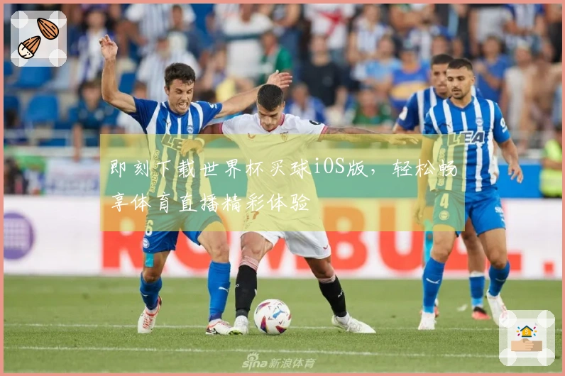 即刻下载世界杯买球iOS版，轻松畅享体育直播精彩体验