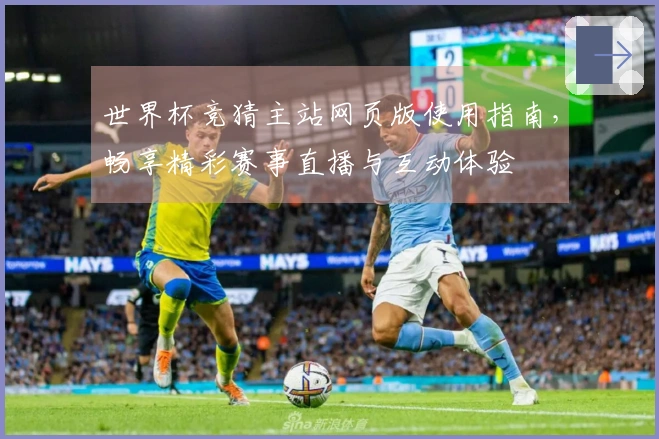 世界杯竞猜主站网页版使用指南,畅享精彩赛事直播与互动体验