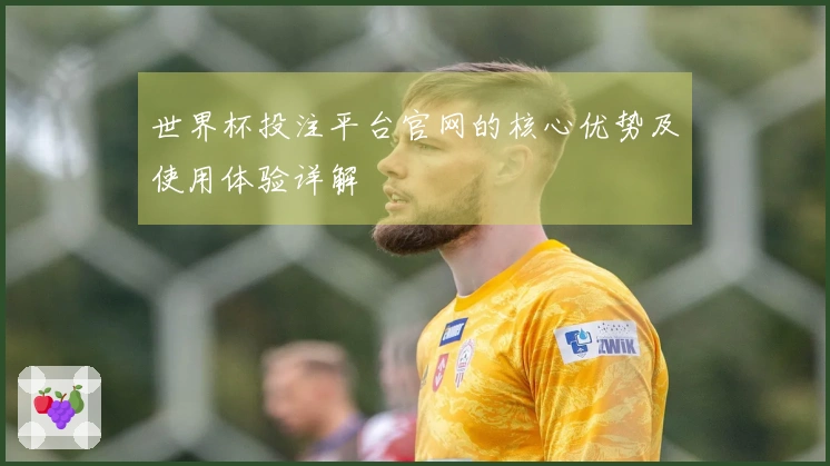 世界杯投注平台官网的核心优势及使用体验详解