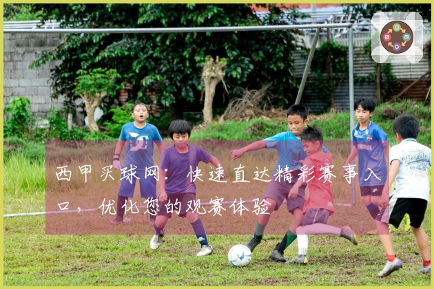 西甲买球网：快速直达精彩赛事入口，优化您的观赛体验