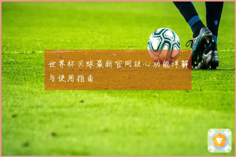世界杯买球最新官网核心功能详解与使用指南