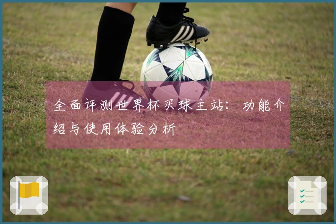 全面评测世界杯买球主站：功能介绍与使用体验分析