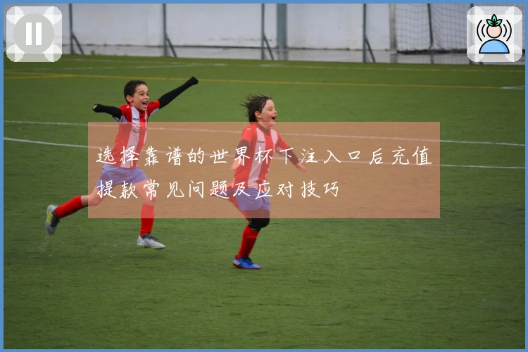 选择靠谱的世界杯下注入口后充值提款常见问题及应对技巧