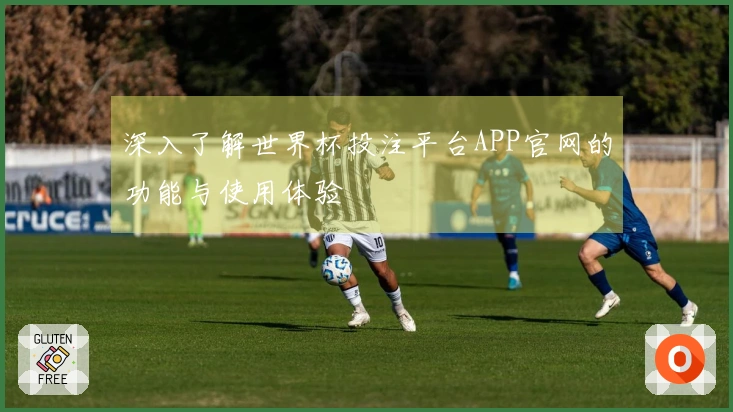深入了解世界杯投注平台APP官网的功能与使用体验