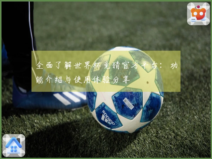 全面了解世界杯竞猜官方平台：功能介绍与使用体验分享