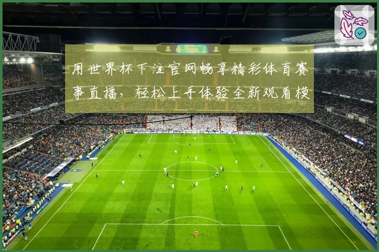 用世界杯下注官网畅享精彩体育赛事直播，轻松上手体验全新观看模式