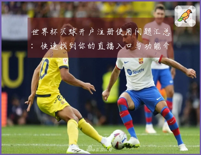 世界杯买球开户注册使用问题汇总：快速找到你的直播入口与功能介绍